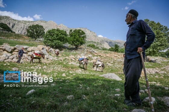 زندگی عشایری »