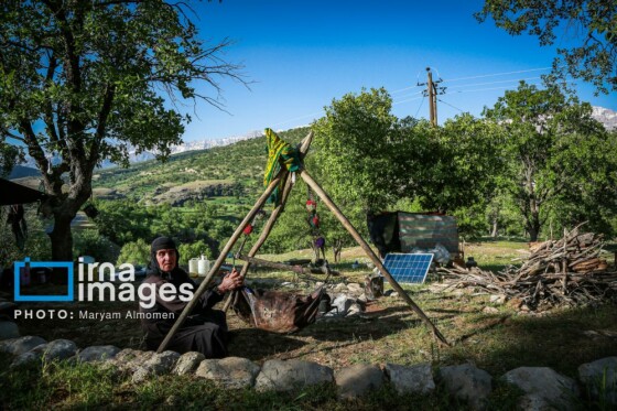 زندگی عشایری »