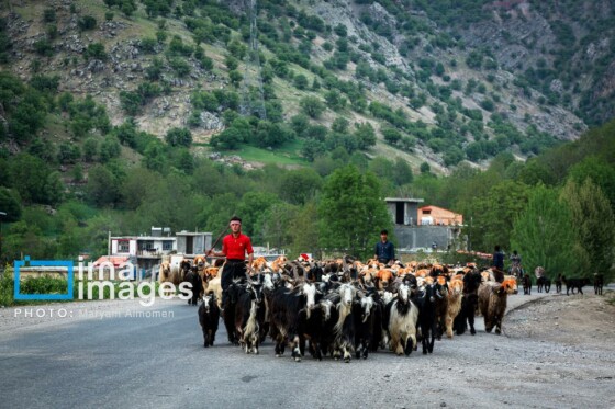 زندگی عشایری »