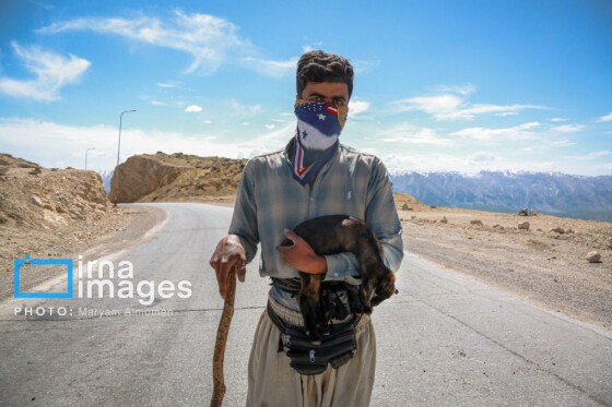 زندگی عشایری »