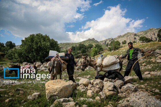 زندگی عشایری »