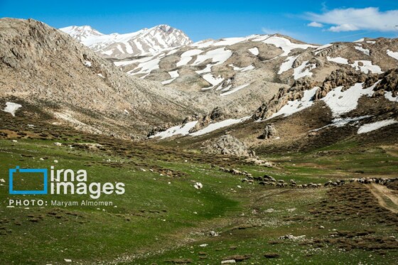 زندگی عشایری »