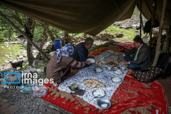 زندگی عشایری »