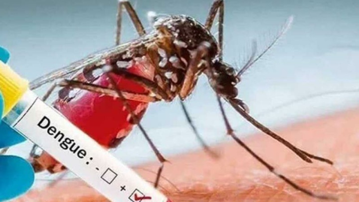 شناسایی پشه ناقل بیماری تب دنگی در مازندران