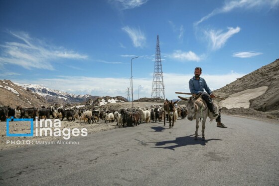 زندگی عشایری »