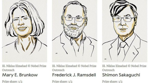 نوبل پزشکی ۲۰۲۵ به سه دانشمند برای رمزگشایی از «تحمل ایمنی» رسید