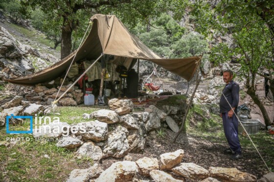 زندگی عشایری »