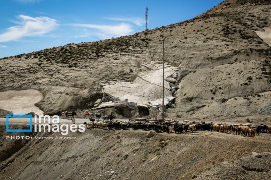 زندگی عشایری »