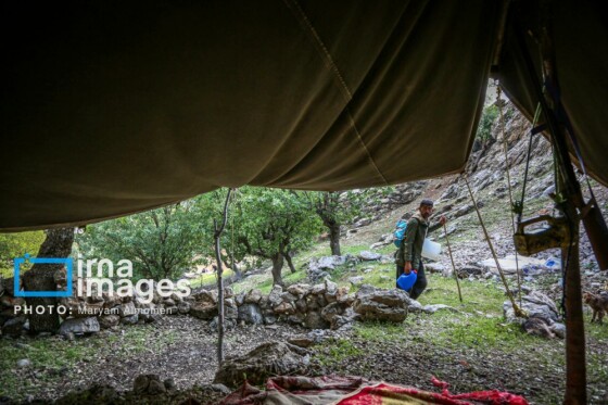 زندگی عشایری »