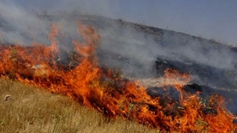 آتشسوزی در منطقه صعبالعبور هفتتنان دزفول مهار شد