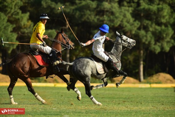 هفته سیزدهم لیگ چوگان