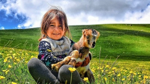 گزارش تصویری/ صبحانه پانزدهم مهر