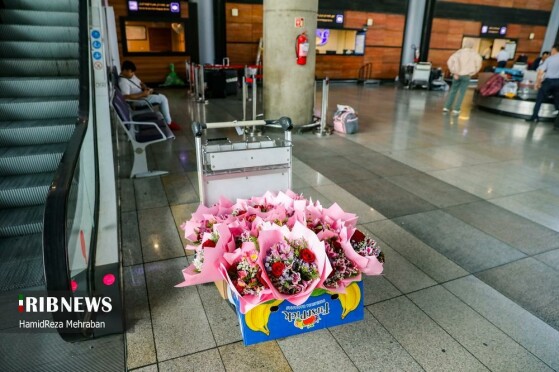 مراسم استقبال از تیم ملی والیبال بانوان ایران