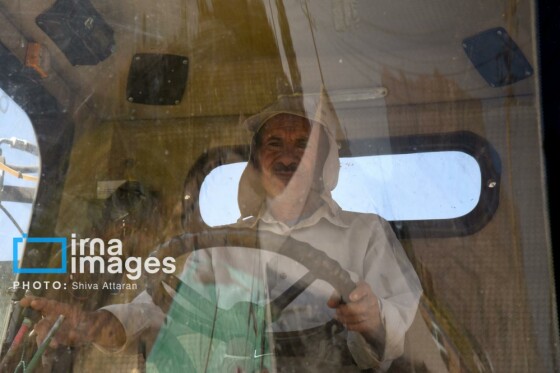 برداشت شلتوک در «کامفیروز» فارس