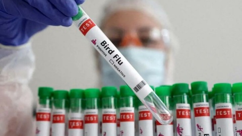 گزارشی درباره ابتلا به آنفلوآنزای پرندگان در ایران نداشتهایم