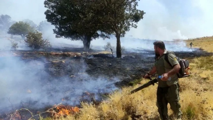 مراتع جنگلی بخش گواور گیلانغرب آتش گرفت