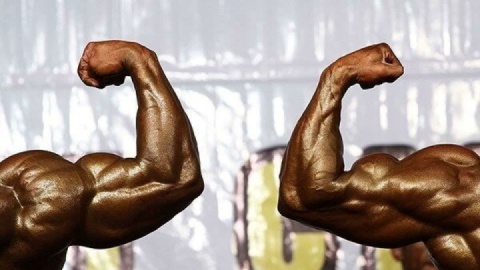 ۱۸۵ هزار دلار برای حضور در مسترالمپیا