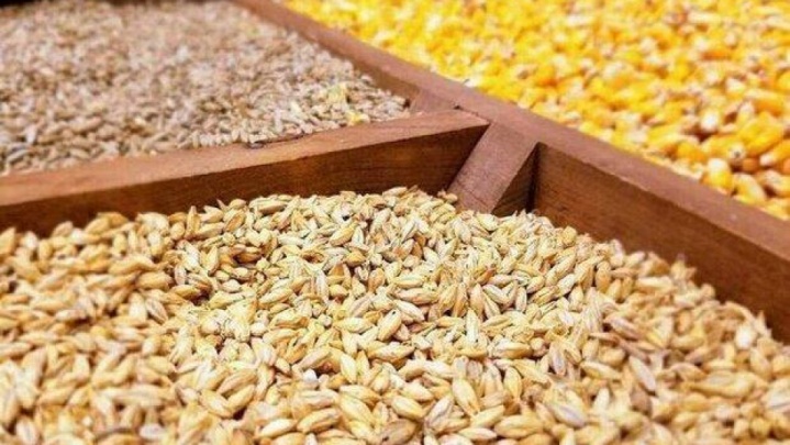 بحران نهاده‌های دامی و سکوت دولت در برابر انحصارگران