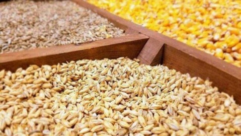 بحران نهادههای دامی و سکوت دولت در برابر انحصارگران