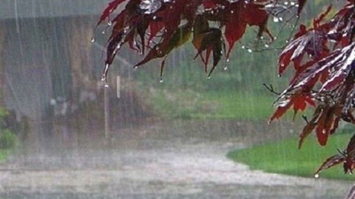 شمال غرب کشور بارانی می‌شود