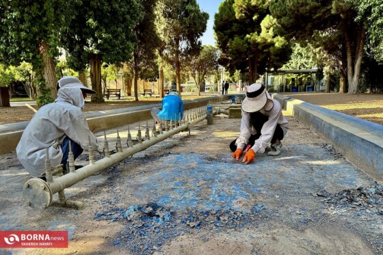 ساماندهی و مرمت مجموعه حافظیه