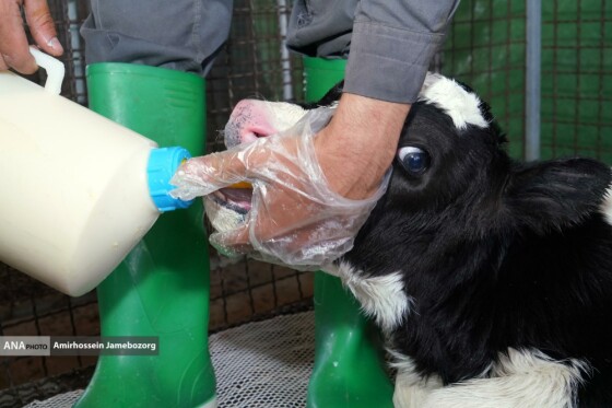 رفع محرومیت با تولید ملی