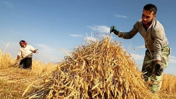 پرداخت ۱۵ همت از مطالبات بیمه عشایر از دولت تا پایان سال