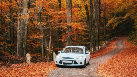 نکات ایمنی خودرو در فصل پاییز