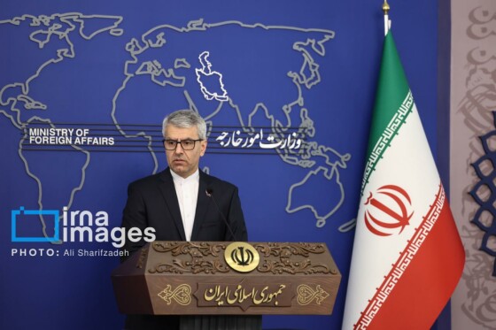 نشست خبری سخنگوی وزارت امور خارجه