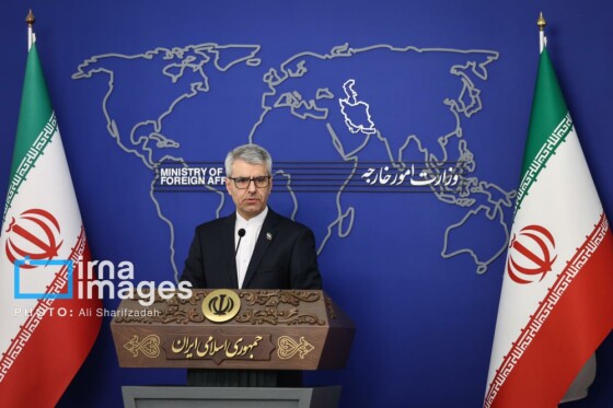 نشست خبری سخنگوی وزارت امور خارجه