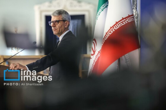 نشست خبری سخنگوی وزارت امور خارجه