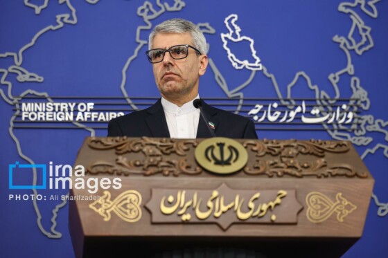 نشست خبری سخنگوی وزارت امور خارجه