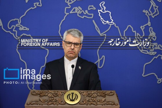 نشست خبری سخنگوی وزارت امور خارجه