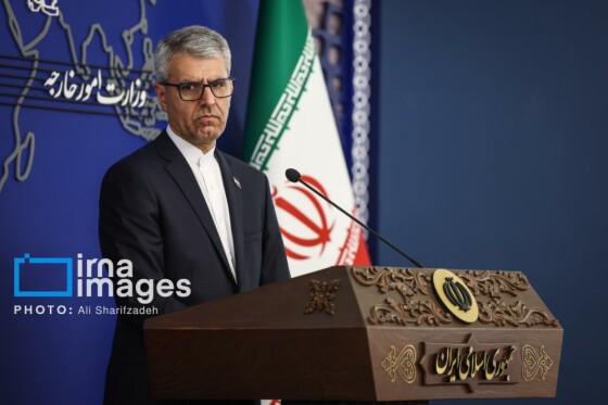 نشست خبری سخنگوی وزارت امور خارجه