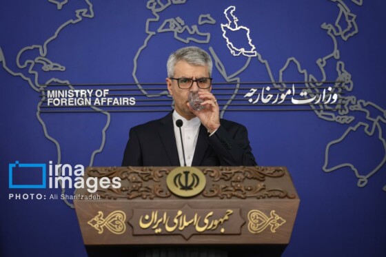 نشست خبری سخنگوی وزارت امور خارجه