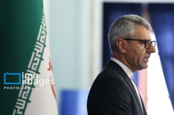 نشست خبری سخنگوی وزارت امور خارجه