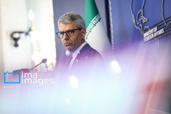 نشست خبری سخنگوی وزارت امور خارجه