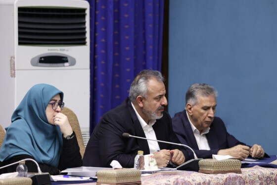 جلسه دکتر مسعود پزشکیان با جمعی از اعضای مجمع کارآفرینان ایران