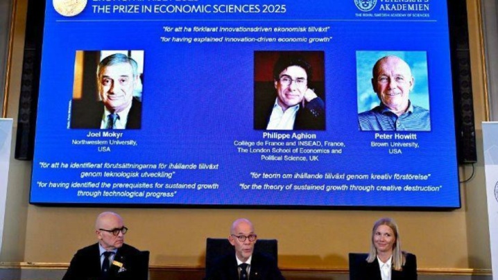 تز نوبلیست‌های اقتصاد ۲۰۲۵ چه بود؟