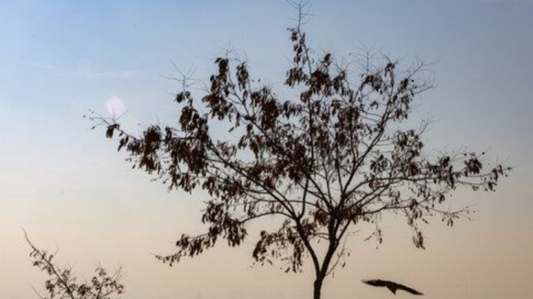 هوای تهران آلوده است