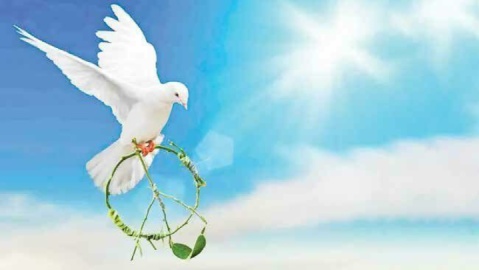 وقتی کودک سفیر صلح میشود