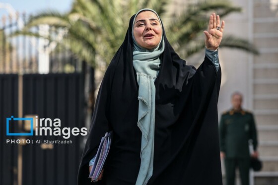 اعضای هیأت دولت در جمع خبرنگاران