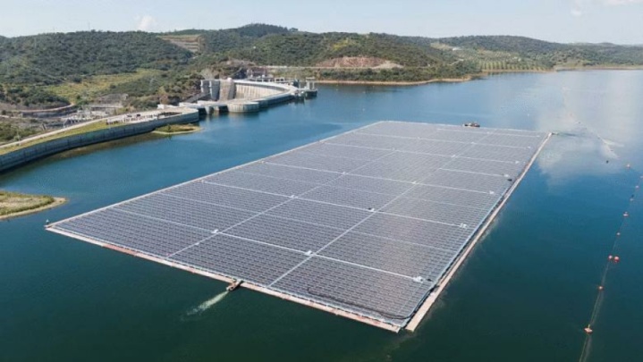 نیروگاه خورشیدی شناور آلمان، زیستگاهی برای پرندگان