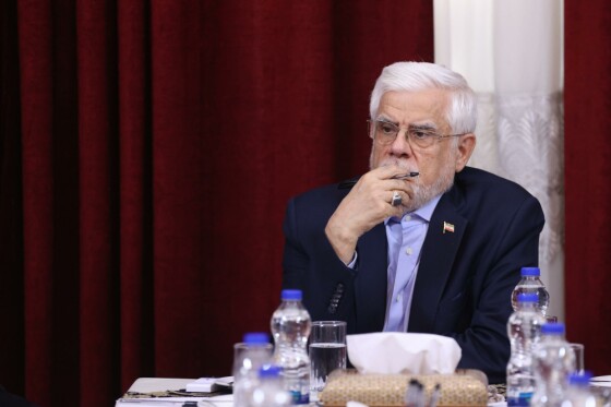 دیدار جمعی از کارآفرینان و صنعتگران استان یزد با معاون اول رئیس جمهور