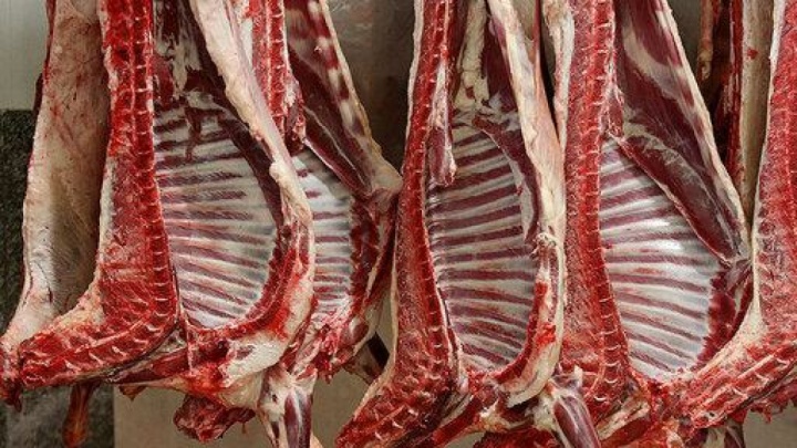 توزیع گوشت وارداتی با قیمت زیر ۷۰۰ هزار تومان از هفته آینده