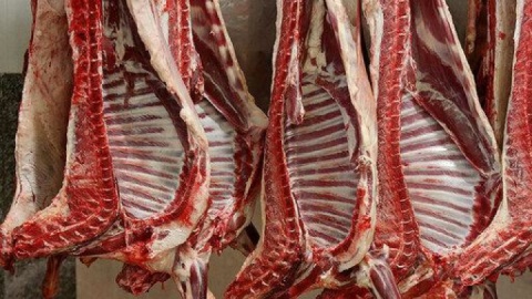 توزیع گوشت وارداتی با قیمت زیر ۷۰۰ هزار تومان از هفته آینده