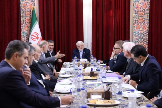 دیدار جمعی از کارآفرینان و صنعتگران استان یزد با معاون اول رئیس جمهور