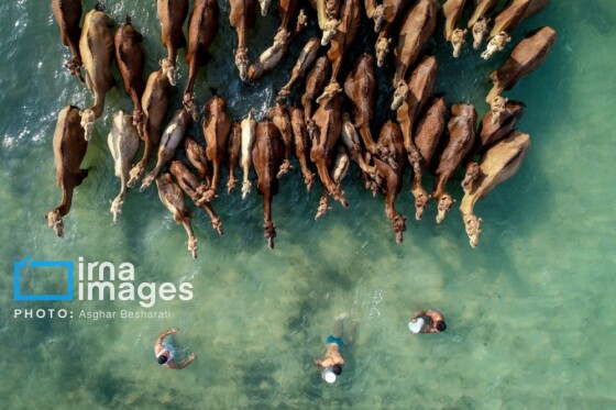 ثبت جهانی روستای «سهیلی» جزیره قشم