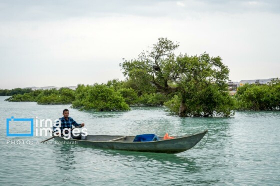 ثبت جهانی روستای «سهیلی» جزیره قشم