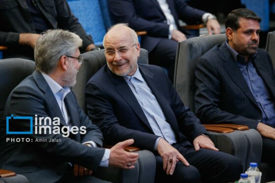 همایش کارآفرینی اجتماعی، توسعه منطقه‌ای و عدالت اجتماعی